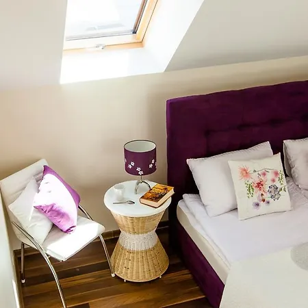 Apartment Vokieciu Street *