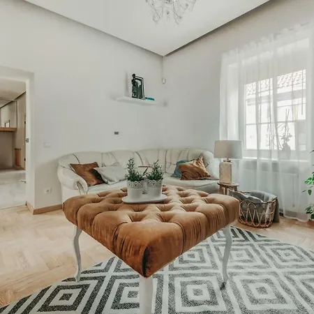 Apartment Vokieciu Street