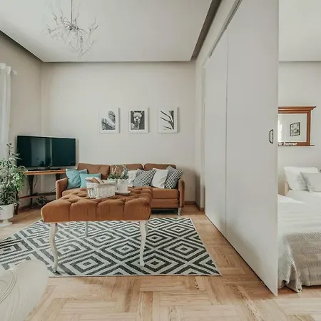 Apartment Vokieciu Street *