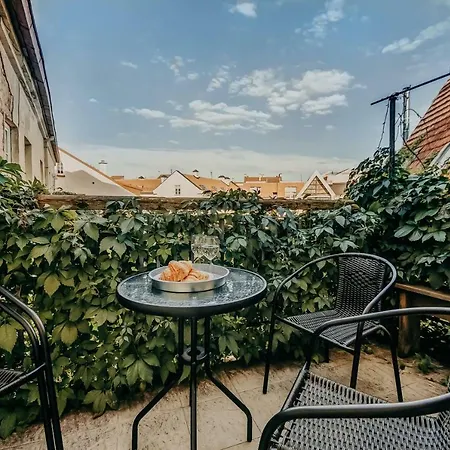 Apartment Vokieciu Street *