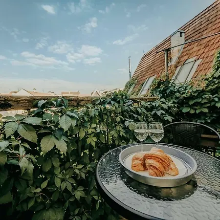 Vokieciu Street Apartment *